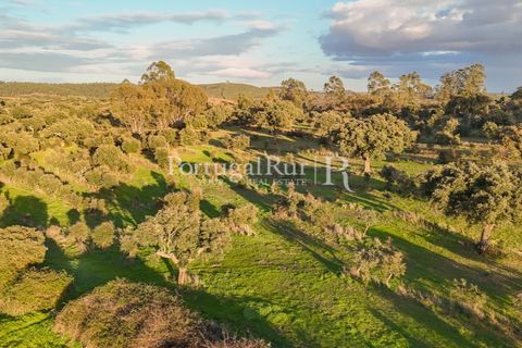 Landejendom i Arez e Amieira do Tejo, Portalegre, Arez e Amieira do Tejo - € 450.000 | Ref: FG348 - foto 12