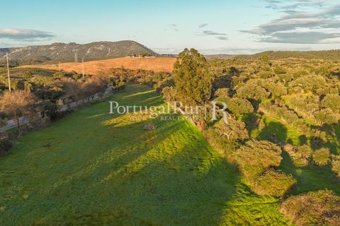 Landejendom i Arez e Amieira do Tejo, Portalegre, Arez e Amieira do Tejo - € 450.000 | Ref: FG348 - foto 13