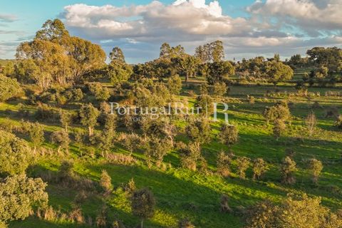 Landejendom i Arez e Amieira do Tejo, Portalegre, Arez e Amieira do Tejo - € 450.000 | Ref: FG348 - foto 17