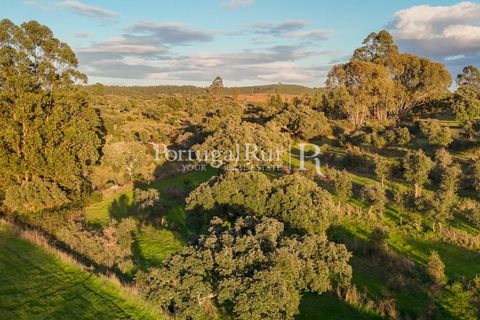 Landejendom i Arez e Amieira do Tejo, Portalegre, Arez e Amieira do Tejo - € 450.000 | Ref: FG348 - foto 18