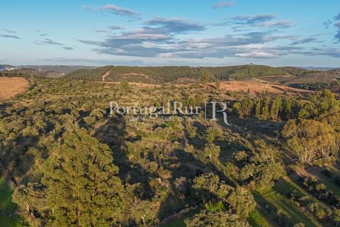 Landejendom i Arez e Amieira do Tejo, Portalegre, Arez e Amieira do Tejo - € 450.000 | Ref: FG348 - foto 19