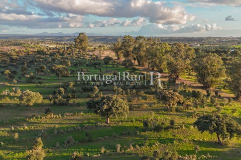 Landejendom i Arez e Amieira do Tejo, Portalegre, Arez e Amieira do Tejo - € 450.000 | Ref: FG348 - foto 20