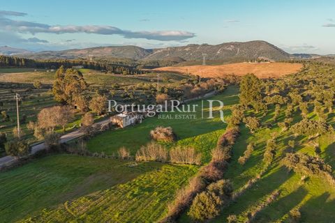 Landejendom i Arez e Amieira do Tejo, Portalegre, Arez e Amieira do Tejo - € 450.000 | Ref: FG348 - foto 21