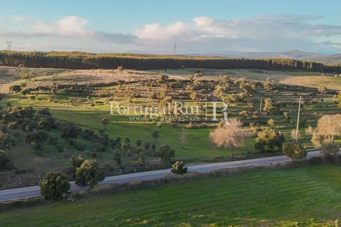 Landejendom i Arez e Amieira do Tejo, Portalegre, Arez e Amieira do Tejo - € 450.000 | Ref: FG348 - foto 22