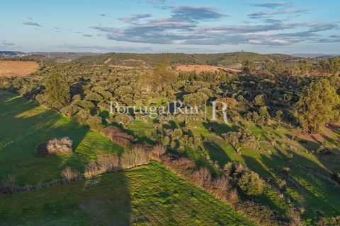 Landejendom i Arez e Amieira do Tejo, Portalegre, Arez e Amieira do Tejo - € 450.000 | Ref: FG348 - foto 23