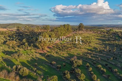 Landejendom i Arez e Amieira do Tejo, Portalegre, Arez e Amieira do Tejo - € 450.000 | Ref: FG348 - foto 24