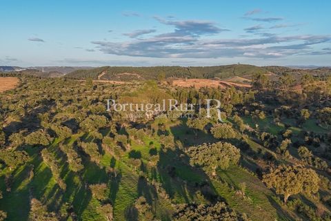 Landejendom i Arez e Amieira do Tejo, Portalegre, Arez e Amieira do Tejo - € 450.000 | Ref: FG348 - foto 26