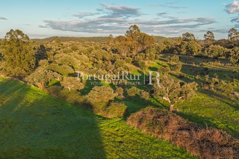 Landejendom i Arez e Amieira do Tejo, Portalegre, Arez e Amieira do Tejo - € 450.000 | Ref: FG348 - foto 27
