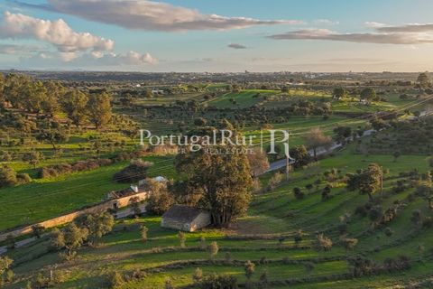 Landejendom i Arez e Amieira do Tejo, Portalegre, Arez e Amieira do Tejo - € 450.000 | Ref: FG348 - foto 28