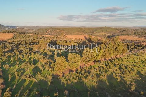 Landejendom i Arez e Amieira do Tejo, Portalegre, Arez e Amieira do Tejo - € 450.000 | Ref: FG348 - foto 30