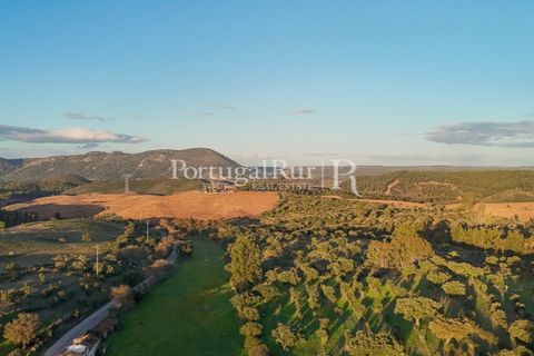 Landejendom i Arez e Amieira do Tejo, Portalegre, Arez e Amieira do Tejo - € 450.000 | Ref: FG348 - foto 31