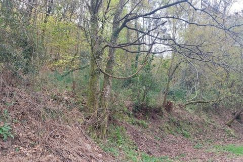 Helårsgrund i Amares, Braga, Amares - € 21.500 | Ref: 211929 - foto 2