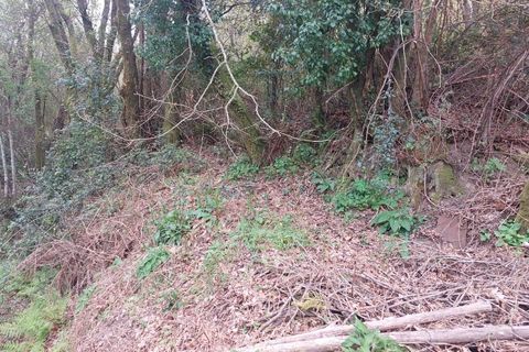 Helårsgrund i Amares, Braga, Amares - € 21.500 | Ref: 211929 - foto 3