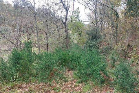 Helårsgrund i Amares, Braga, Amares - € 21.500 | Ref: 211929 - foto 4