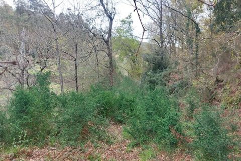 Helårsgrund i Amares, Braga, Amares - € 21.500 | Ref: 211929 - foto 5