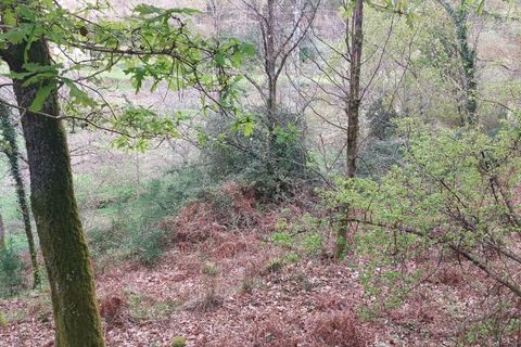 Helårsgrund i Amares, Braga, Amares - € 21.500 | Ref: 211929 - foto 7