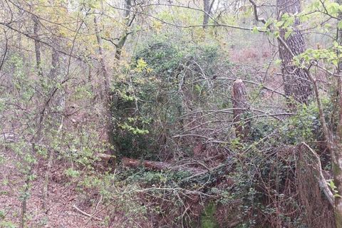 Helårsgrund i Amares, Braga, Amares - € 21.500 | Ref: 211929 - foto 8
