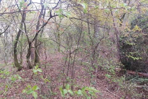 Helårsgrund i Amares, Braga, Amares - € 21.500 | Ref: 211929 - foto 9
