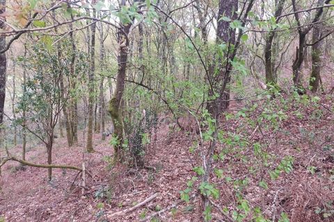 Helårsgrund i Amares, Braga, Amares - € 21.500 | Ref: 211929 - foto 10