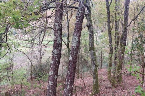 Helårsgrund i Amares, Braga, Amares - € 21.500 | Ref: 211929 - foto 11