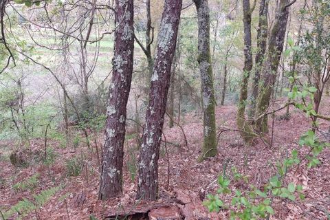 Helårsgrund i Amares, Braga, Amares - € 21.500 | Ref: 211929 - foto 12