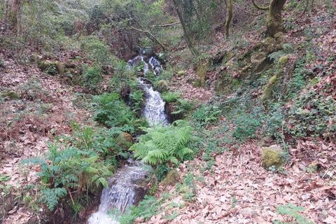 Helårsgrund i Amares, Braga, Amares - € 21.500 | Ref: 211929 - foto 13