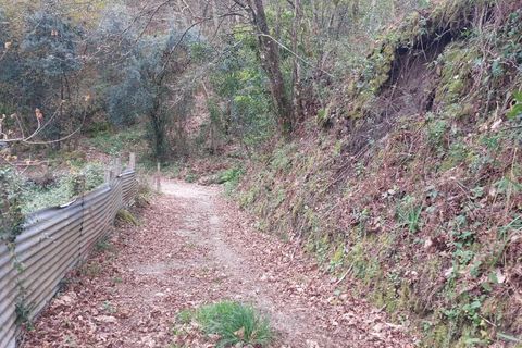 Helårsgrund i Amares, Braga, Amares - € 21.500 | Ref: 211929 - foto 14