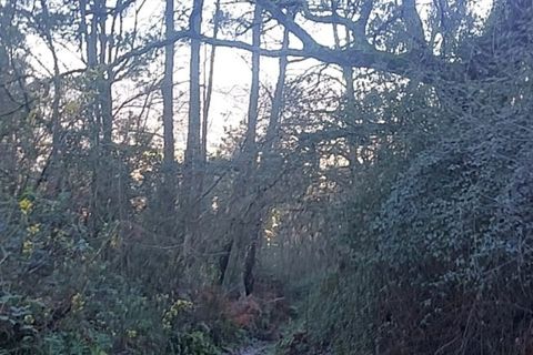 Helårsgrund i Amares, Braga, Amares - € 12.500 | Ref: 211935 - foto 7