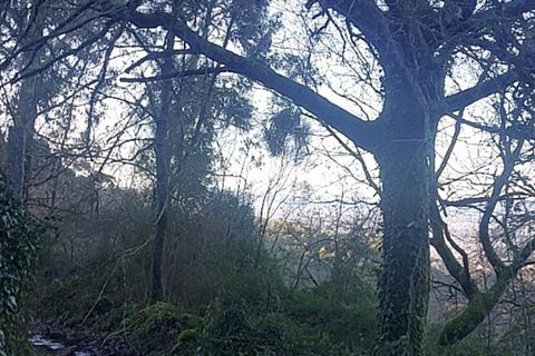 Helårsgrund i Amares, Braga, Amares - € 12.500 | Ref: 211935 - foto 9