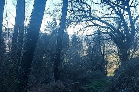 Helårsgrund i Amares, Braga, Amares - € 12.500 | Ref: 211935 - foto 11
