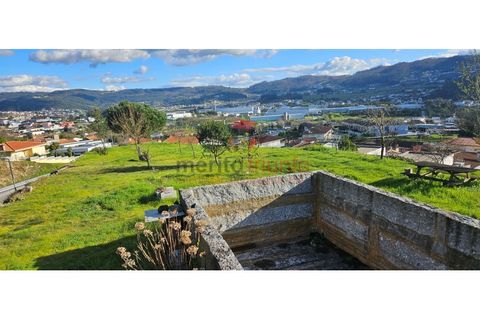 Terra a Lordelo, Braga, Lordelo - € 149.000 | Ref: TER_46 - foto 2