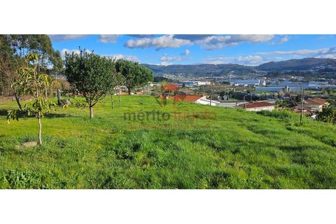 Terra a Lordelo, Braga, Lordelo - € 149.000 | Ref: TER_46 - foto 3