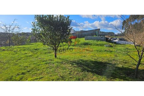 Terra a Lordelo, Braga, Lordelo - € 149.000 | Ref: TER_46 - foto 4