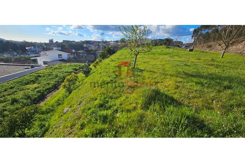 Terra a Lordelo, Braga, Lordelo - € 149.000 | Ref: TER_46 - foto 5