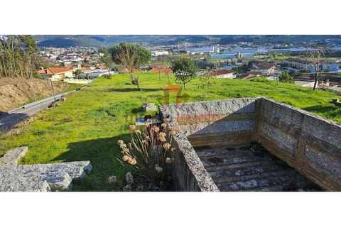 Terra a Lordelo, Braga, Lordelo - € 149.000 | Ref: TER_46 - foto 6