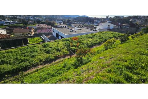 Terra a Lordelo, Braga, Lordelo - € 149.000 | Ref: TER_46 - foto 7