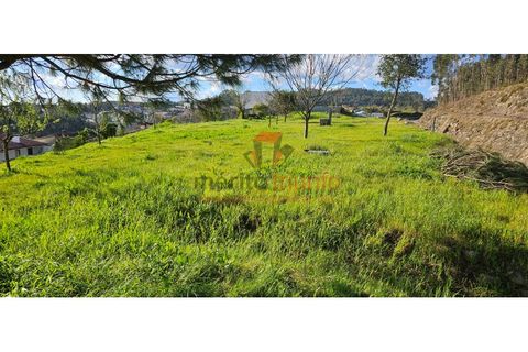Terra a Lordelo, Braga, Lordelo - € 149.000 | Ref: TER_46 - foto 8