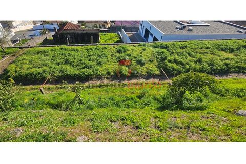 Terra a Lordelo, Braga, Lordelo - € 149.000 | Ref: TER_46 - foto 9
