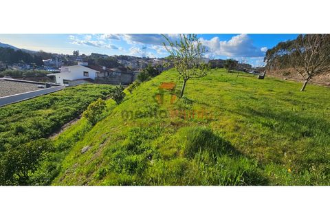 Terra a Lordelo, Braga, Lordelo - € 149.000 | Ref: TER_46 - foto 10