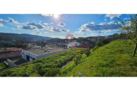 Terra a Lordelo, Braga, Lordelo - € 149.000 | Ref: TER_46 - foto 12
