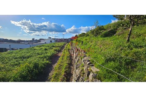Terra a Lordelo, Braga, Lordelo - € 149.000 | Ref: TER_46 - foto 13