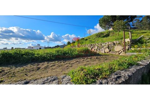 Terra a Lordelo, Braga, Lordelo - € 149.000 | Ref: TER_46 - foto 14