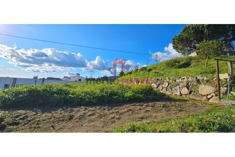 Terra a Lordelo, Braga, Lordelo - € 149.000 | Ref: TER_46 - foto 15