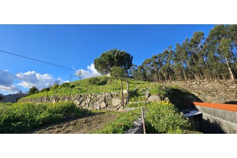 Terra a Lordelo, Braga, Lordelo - € 149.000 | Ref: TER_46 - foto 16