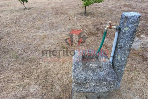 Terra a Lordelo, Braga, Lordelo - € 149.000 | Ref: TER_46 - foto 21