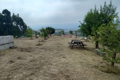 Terra a Lordelo, Braga, Lordelo - € 149.000 | Ref: TER_46 - foto 23
