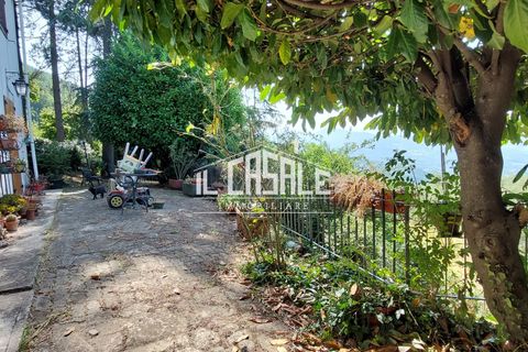 Villa a Pontassieve, Florence, Pontassieve - € 178.000 | Ref: 2121 - foto 36