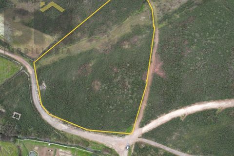 Farm i Castelo Branco, Castelo Branco, Castelo Branco - € 25.000 | Ref: 4845 - foto 2