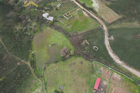 Farm i Castelo Branco, Castelo Branco, Castelo Branco - € 25.000 | Ref: 4845 - foto 3
