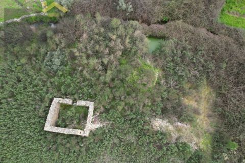 Farm i Castelo Branco, Castelo Branco, Castelo Branco - € 25.000 | Ref: 4845 - foto 6